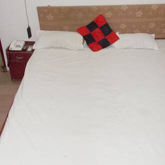 Chawla Guest House, Patna 2